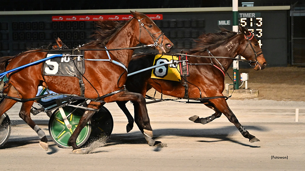 Majorca N Three-Peats In Dover Distaff Open