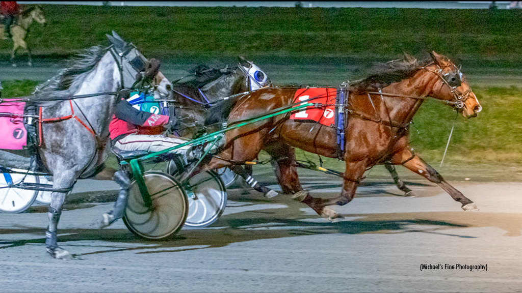 Stonebridge Jade Stuns In Fraser Preferred