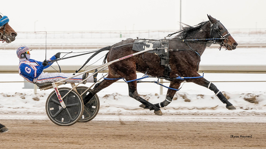 Sunshineatthebeach Wires Century Mile Distaff Preferred