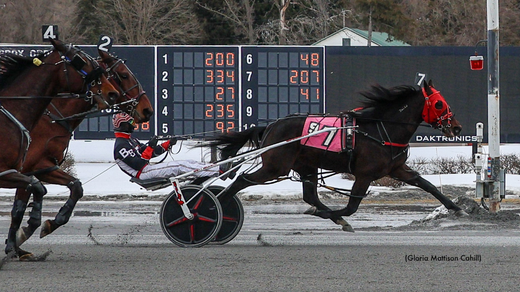 Six Wins For Beckwith At Saratoga Wednesday