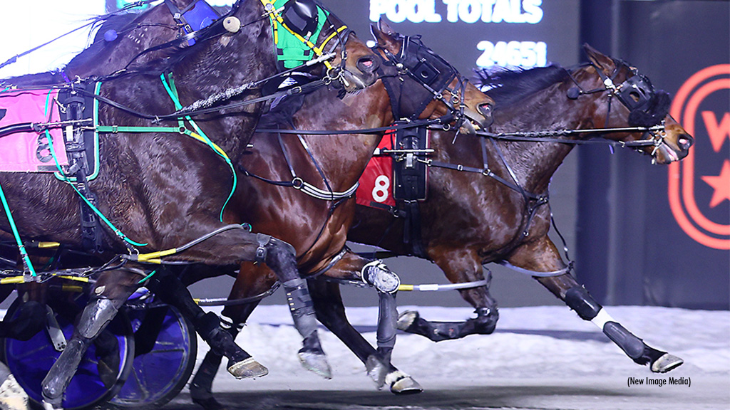 Aragonite Upsets In Mohawk Pop-Up Action