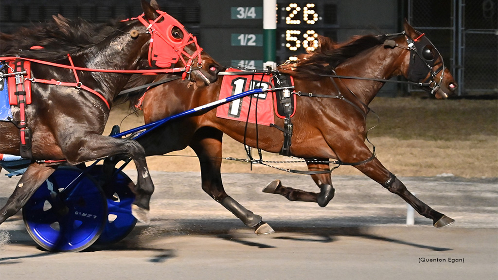 Chapheart Repeats In Dover Feature