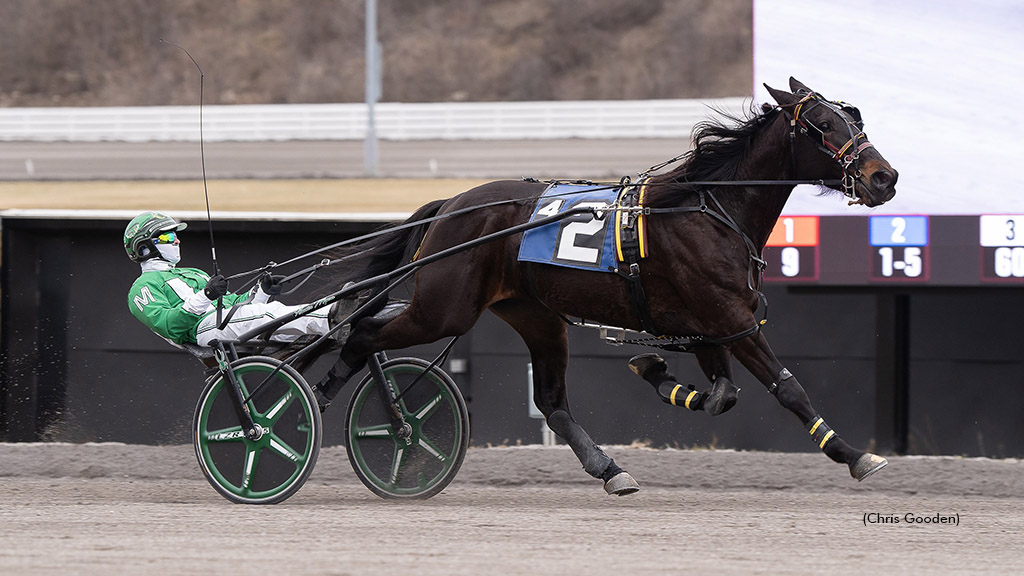 Colorado Joe winning at The Meadows