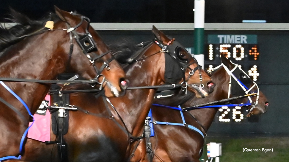 Downers Delight Wins Blue Hen Open At Dover