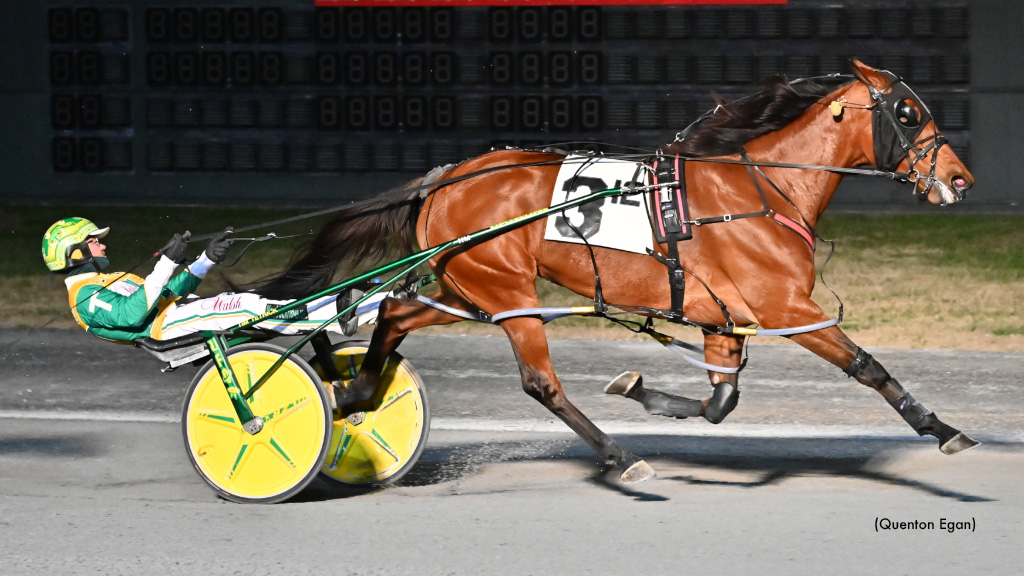 Elegant A Wires The Field At Dover