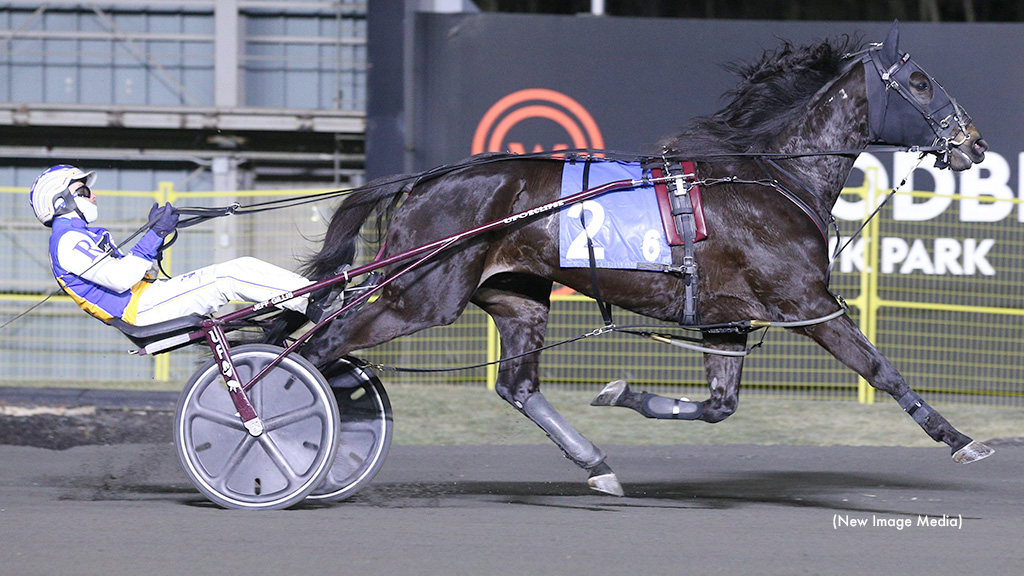 Fashion Frenzie Takes Leg One Of New Holland Trotting Series
