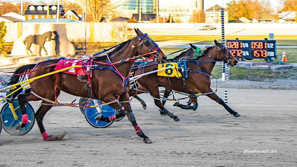 Ladyterra Shows Grit In Western Fair Preferred 