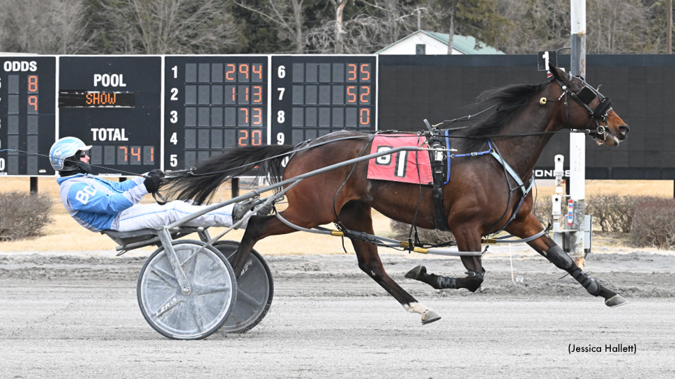 Lets Go Jude Coasts At Saratoga