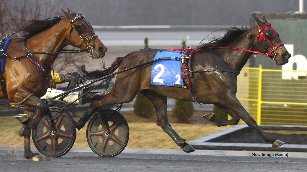 New Rules Wins New Holland Final On Short Card