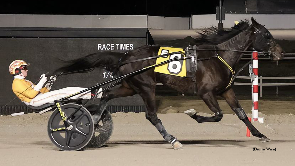 Burke Sweeps Northfield Opens With Ontario-Breds