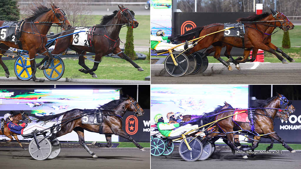 Close Calls In Ontario Sired Spring Series Finals