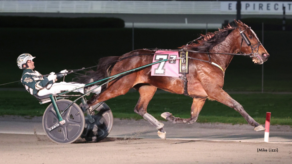 Antognoni S Sweeps John Brennan Trotting Series 