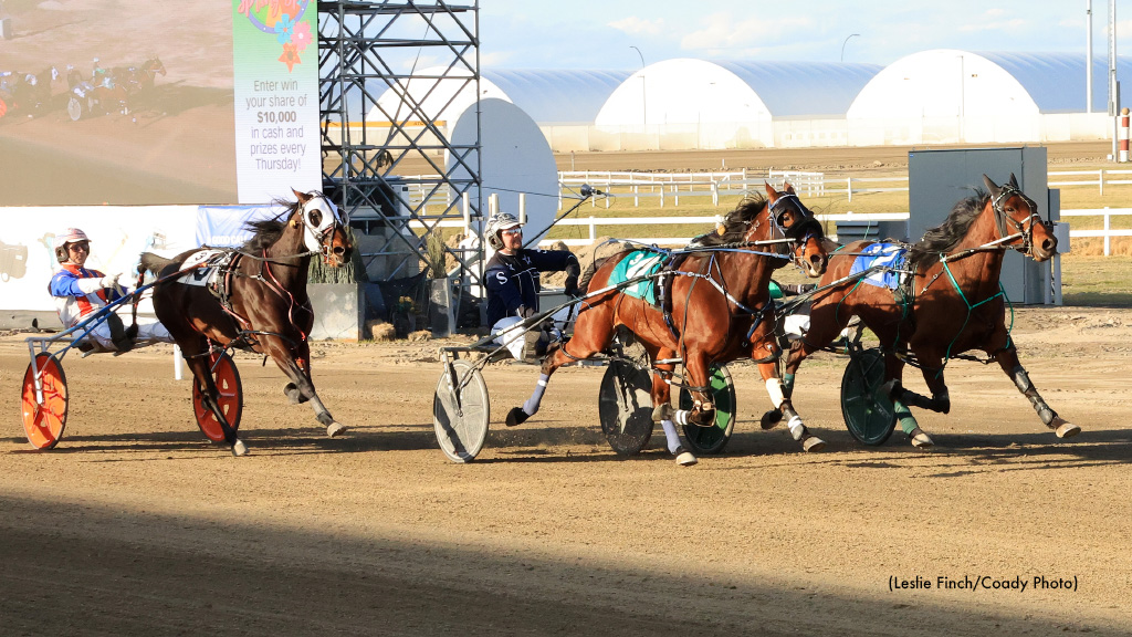Beep Bop A Lula Strikes Again At Century Downs 