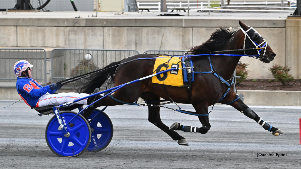 Downers Delight Rebounds In Harrington Feature