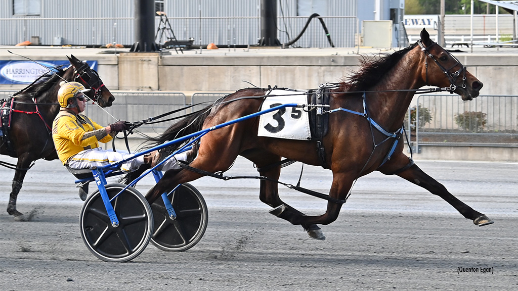 Incaseyoudidntknow Delivers In Harrington Open