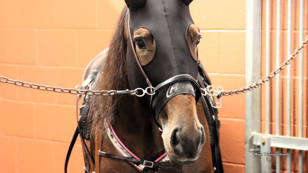 Game On For Its A Me Mario