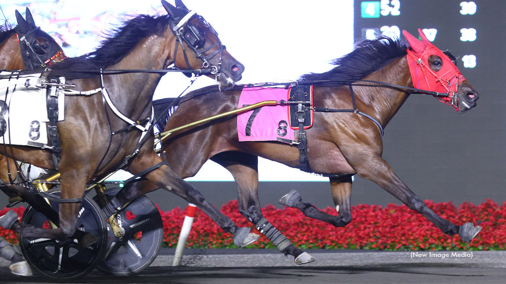 MacIntosh Stakes Winners Headline Mohawk Qualifiers
