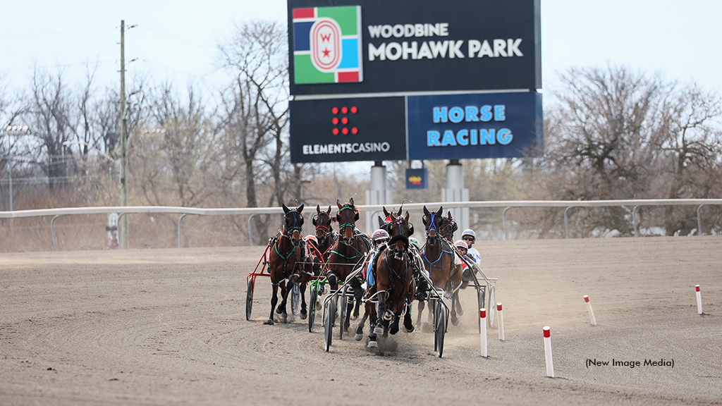 Horses qualifying at Woodbine Mohawk Park