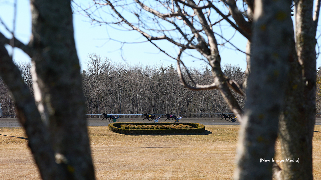 Qualifiers at Woodbine Mohawk Park in early spring