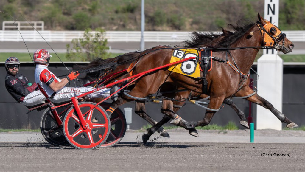  Nine Win Day For Palone At The Meadows