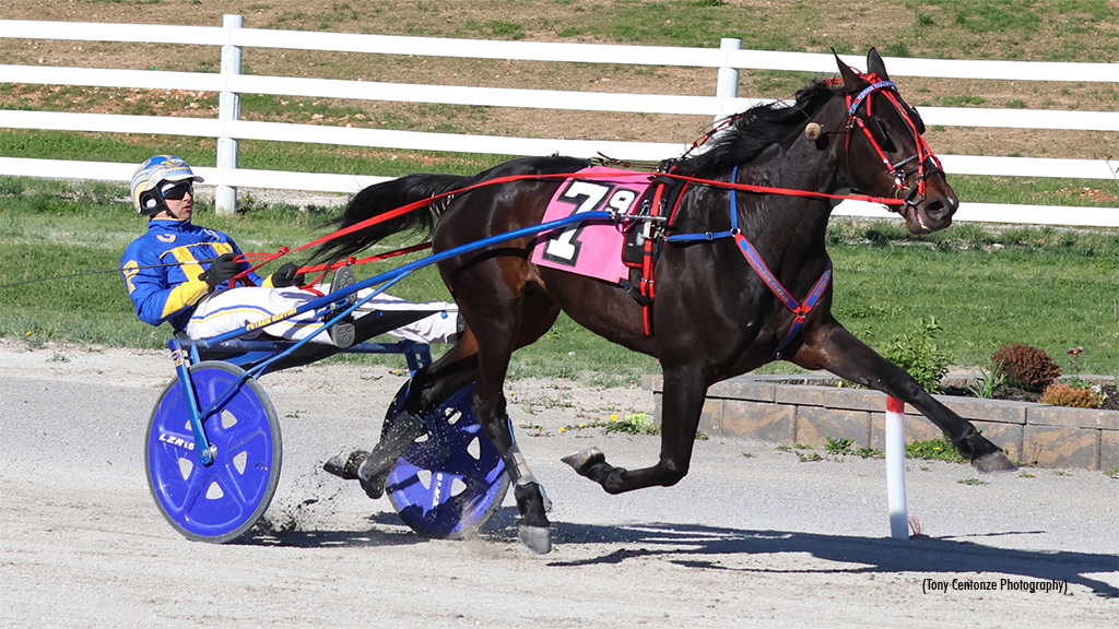 Railee Something Repeats In Oak Grove Open