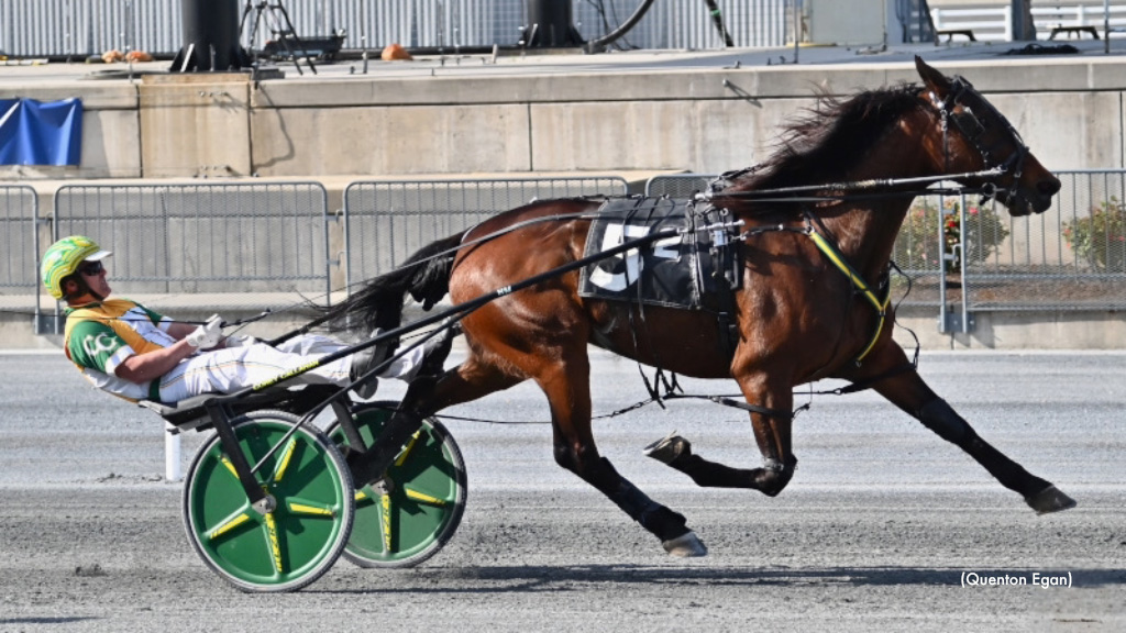 Harrington's Delaware State Fair Program Set