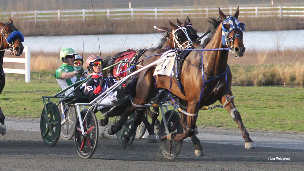 Swifty Run Impressive In Plainridge Feature