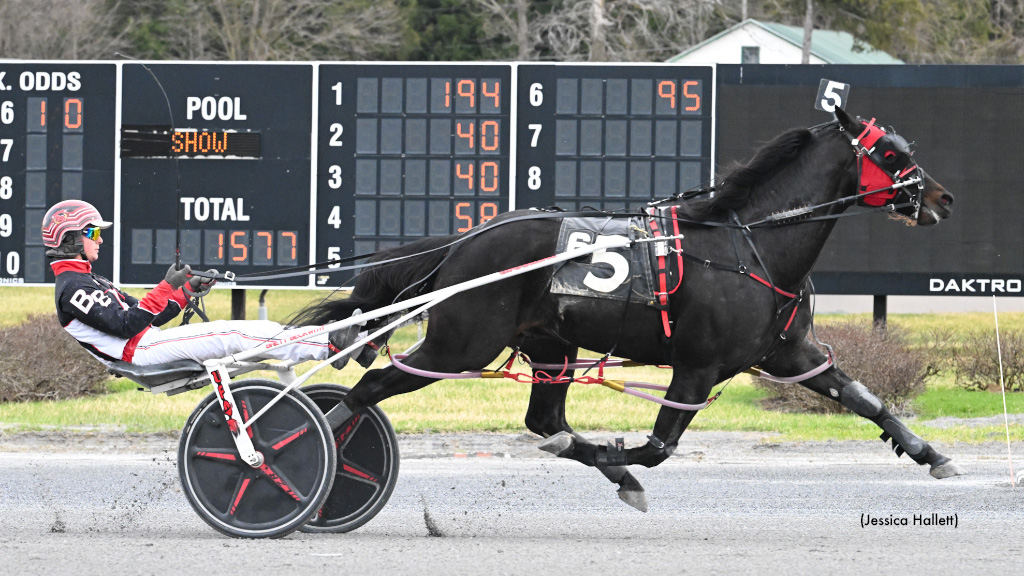 The Good Doctor Wins Saratoga Open