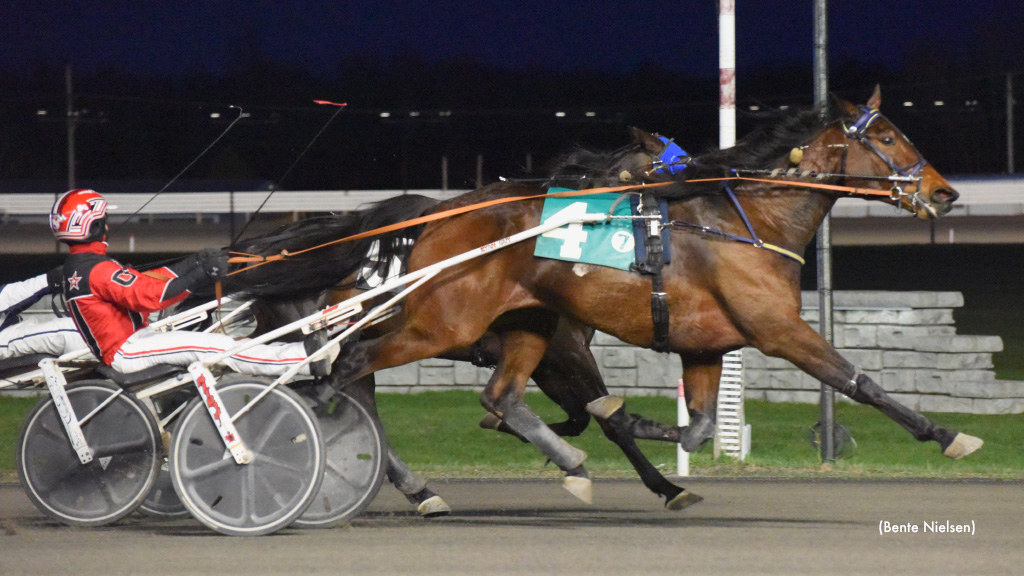 Tyrone Bow Tie Sharp In Rideau Preferred