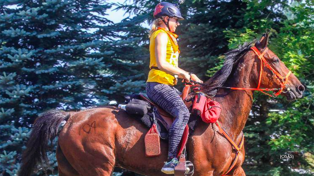 Trail Riding Event Open To Standardbred Participants