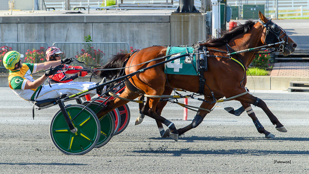 Dead Heat In Harrington Feature