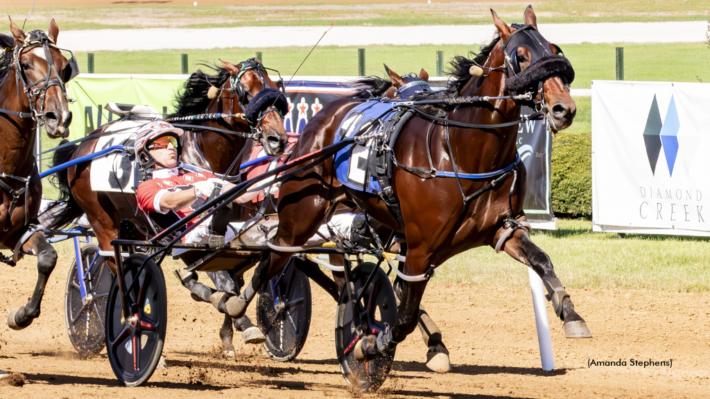 TROT N.A. Cup Spring Book Profile: American Son