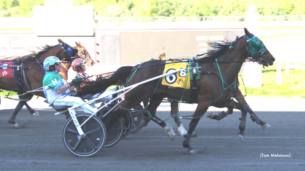 Anvil Hands Strikes In Plainridge Feature