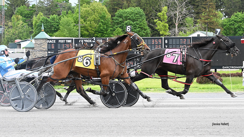 Arizona Sweeps Field In Saratoga Open