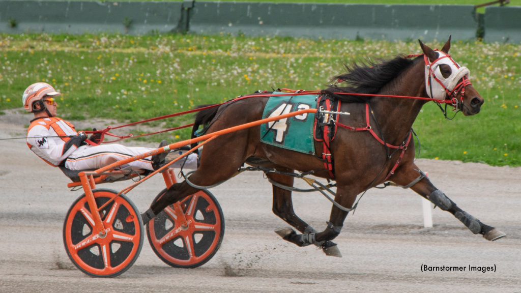 Bettor B Sawyer Best In Buffalo Feature 