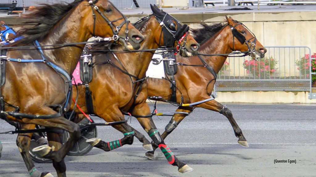 Cindy Jo Wins Harrington Feature; Still Reaches 1,000 Wins