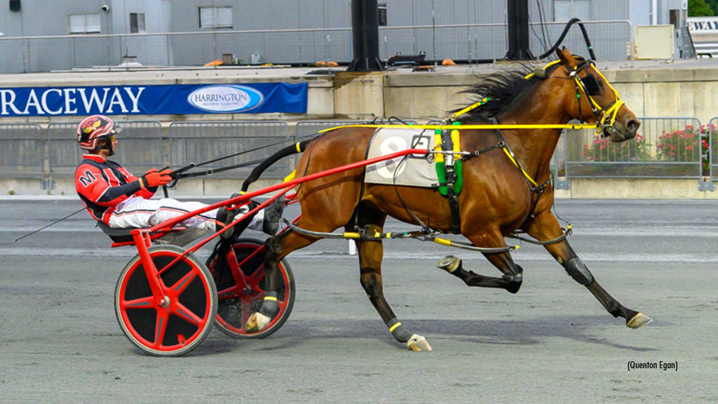 Teague Wins Six Tuesday At Harrington