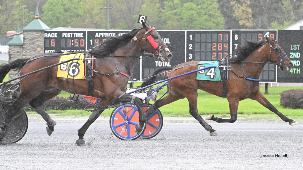 Comeonover Hanover Strong In Saratoga Open