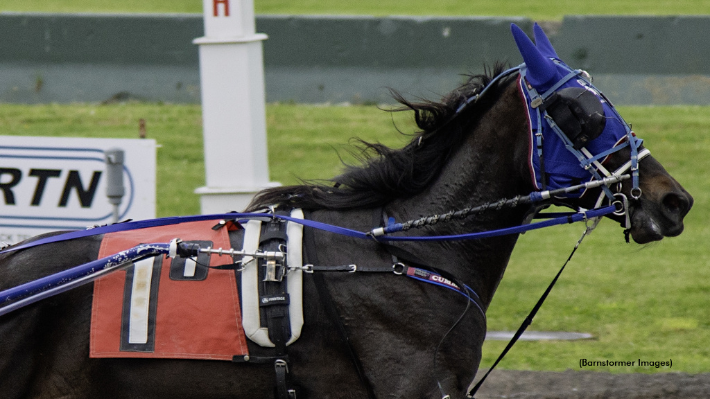 Crazy Fool Does It Again Saturday At Buffalo