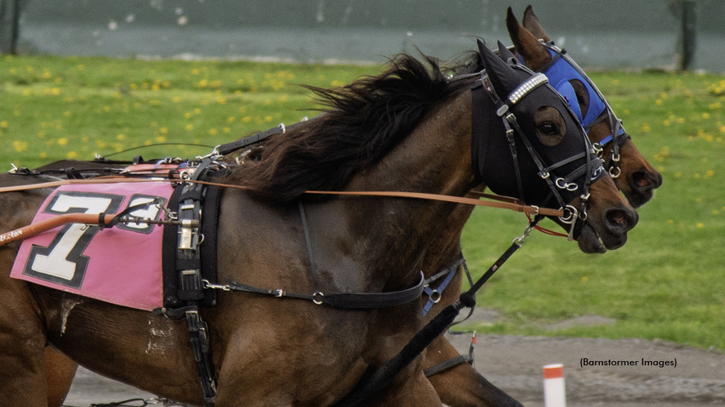 Dealin With Dewey winning at Buffalo Raceway