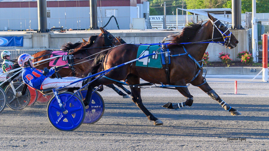 Downers Delight Continues Banner 2025 At Harrington