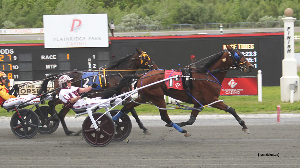 Baystate Paces Featured At Plainridge Tuesday