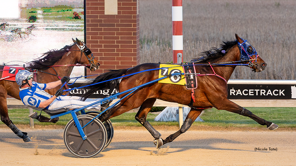 Escaper Evades Open Trotting Foes At Aces