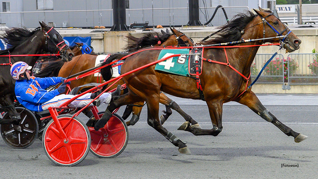 Every Day Dan Tops Harrington Open Trot