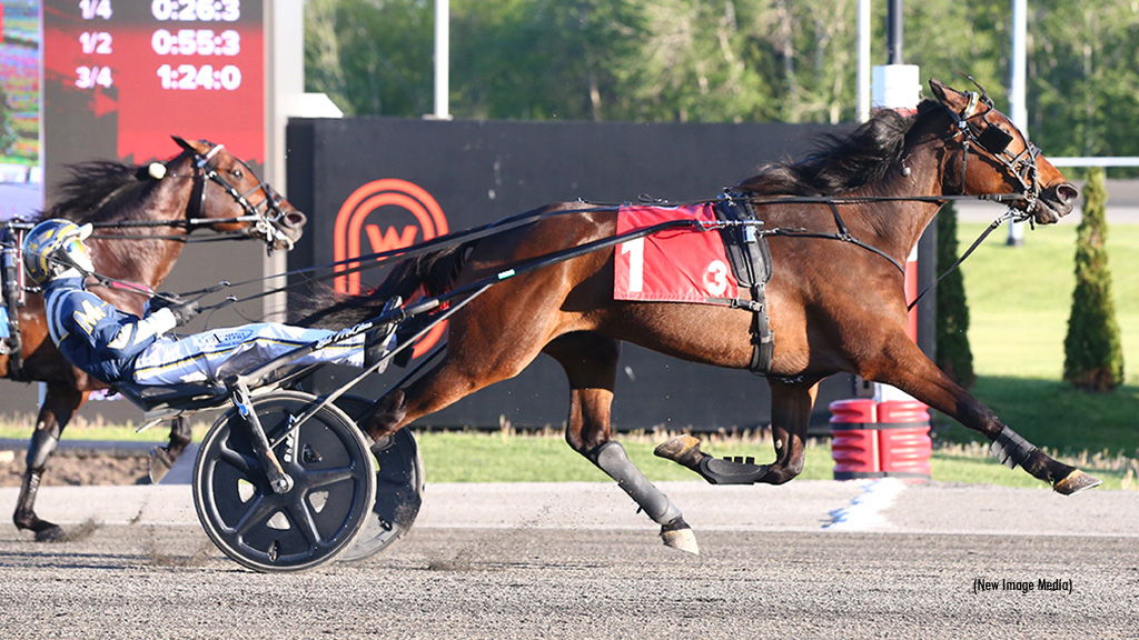 Gaines Hanover Giant In Mohawk Preferred