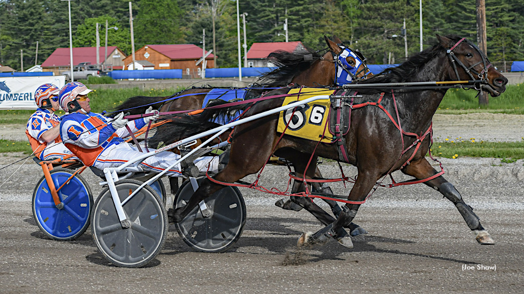 Gowestyounggrace Back In The Winner's Circle