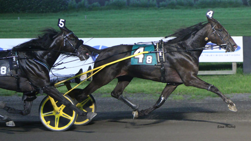 Lexus Kody On His Best Behaviour In Big M Open Trot