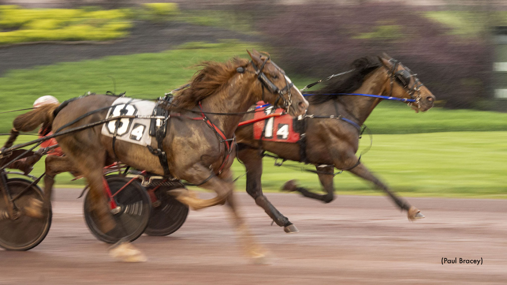 Lionheart Hanover All Heart In Pocono Feature