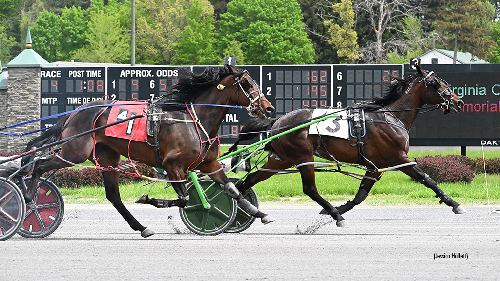 Little Instigator Stays Perfect At Saratoga