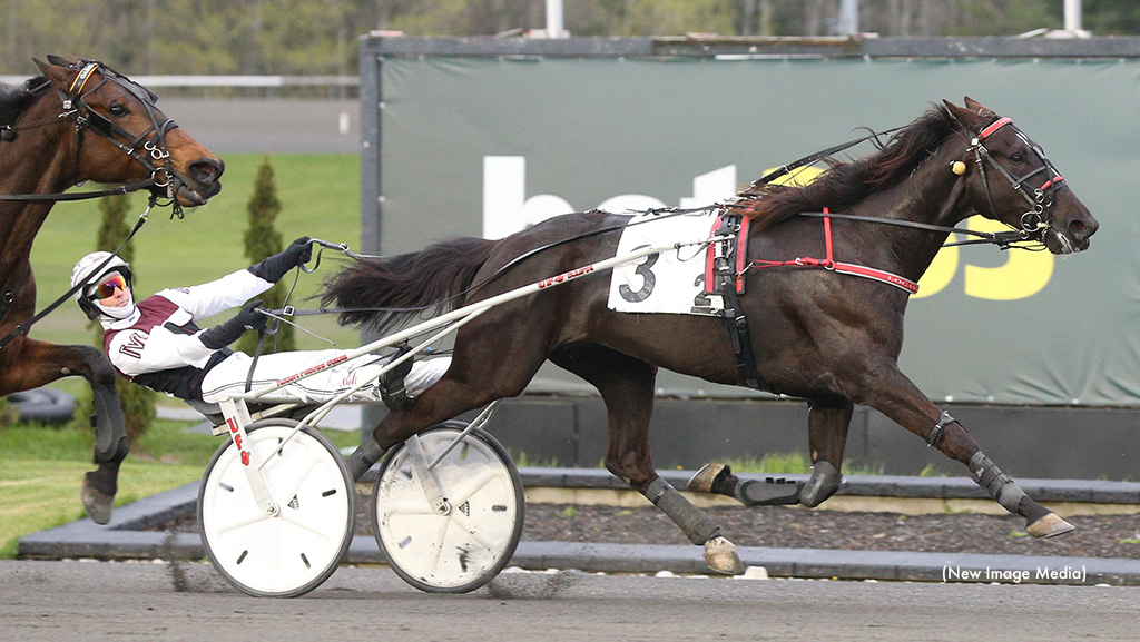 Logan Park Perfectly Primed For Elitloppet